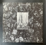 Flux of Pink Indians 'Strive to Survive' LP