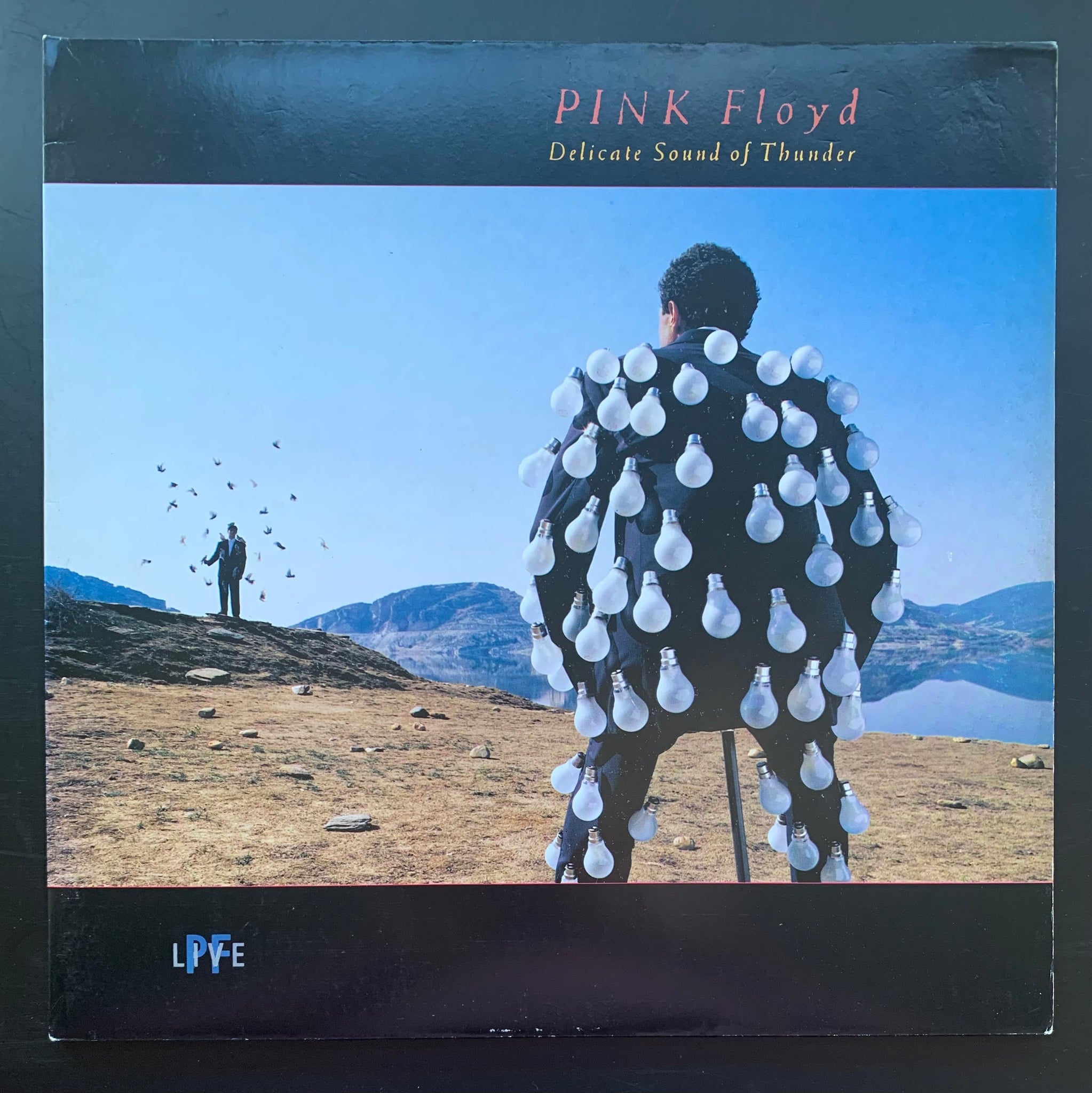 Pink Floyd 'Delicate sound of Thunder' Double LP