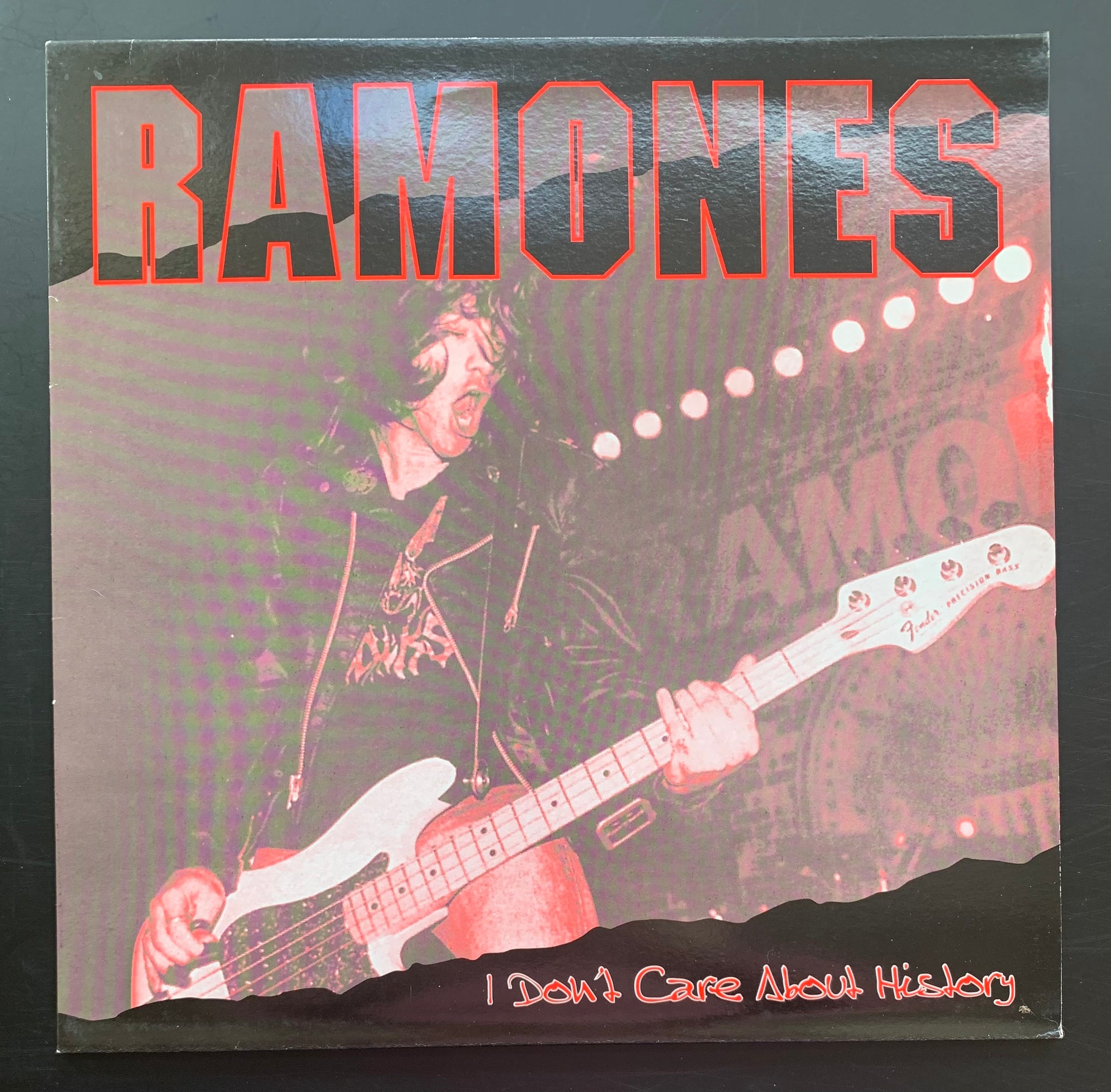 The Ramones 'I Don't Care About History' LP