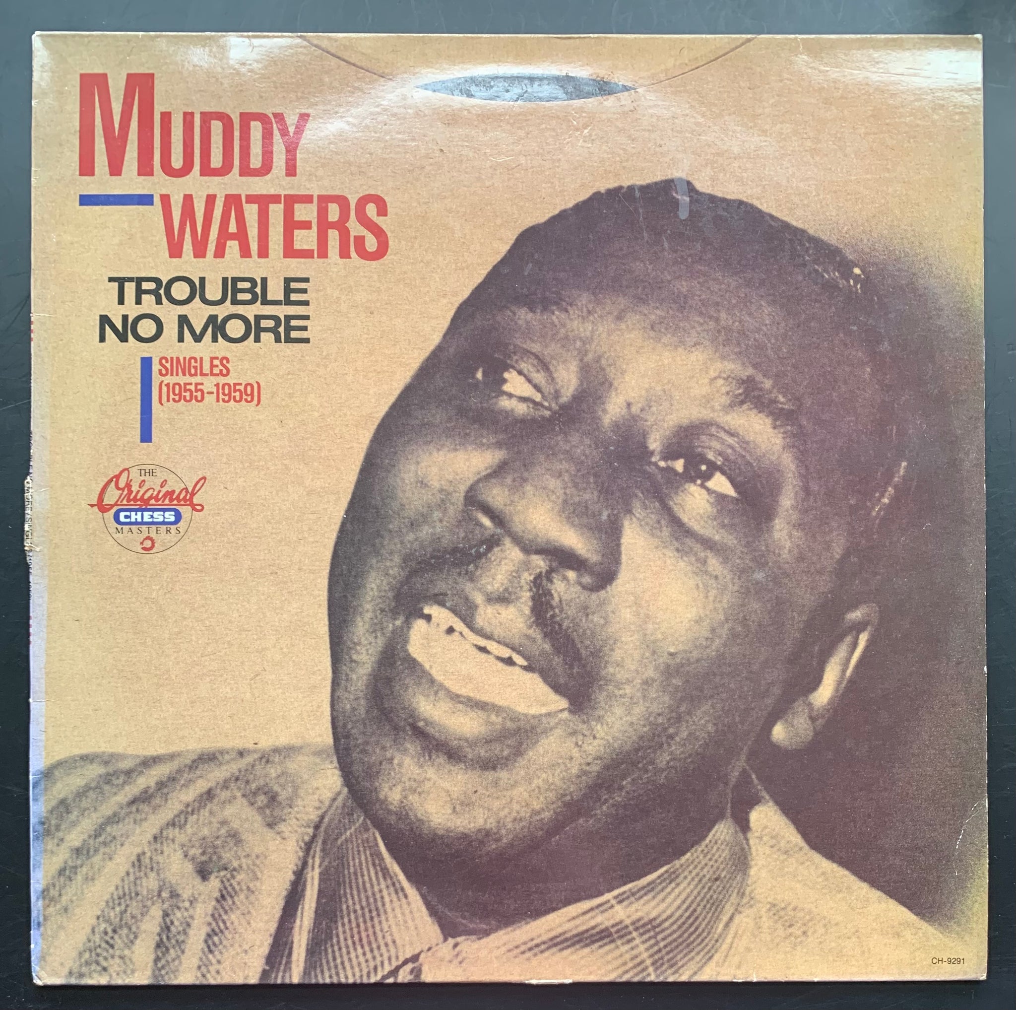 Muddy Waters 'Trouble no More' LP