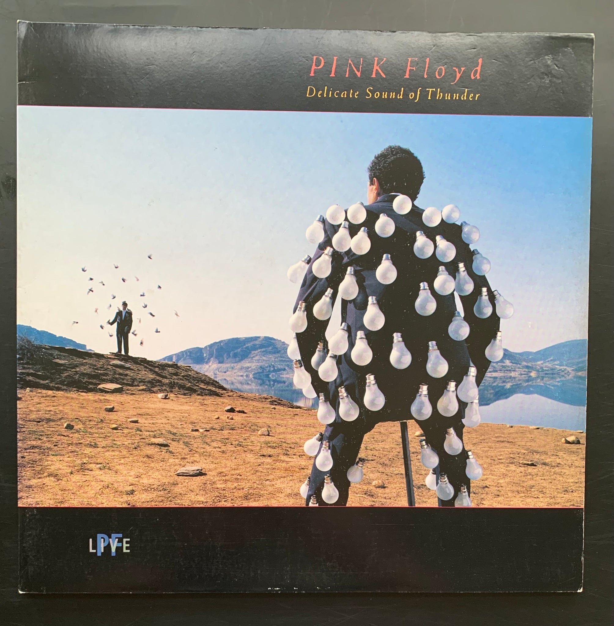 Pink Floyd 'Delicate Sound of Thunder' Double LP